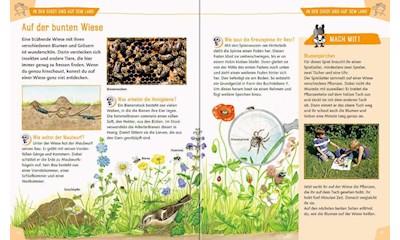 Mein gr. Natur-Erlebnisbuch