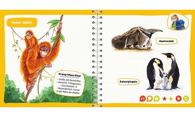 Pocket Wissen: Tierkinder