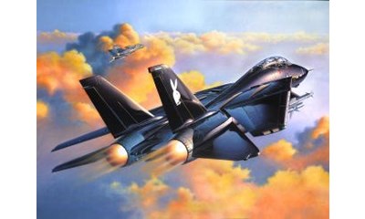 Grumman F-14A Black Tomcat