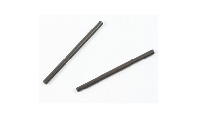 R/C Spielzeug Zubehör Pins für untere Querlenker 2x