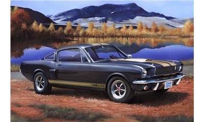 Shelby Mustang GT 350 H Model-Set