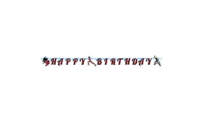 Partykette Miraculous 200x15cm