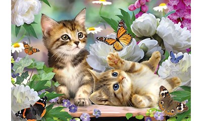 Verspielte Katzenbabys 150 Teile