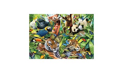 Kunterbunte Tierwelt