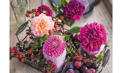 Beeren und Blumen