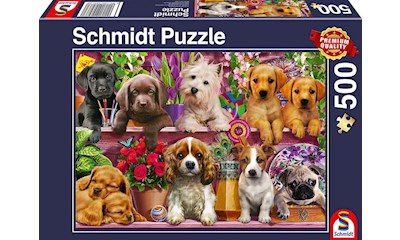 Hunde im Regal