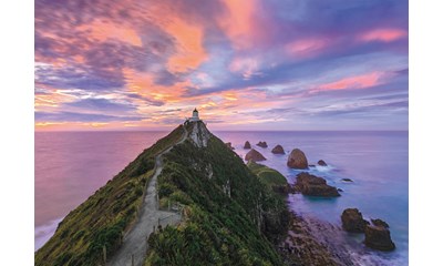 Nugget Point Lighthouse New Zealand