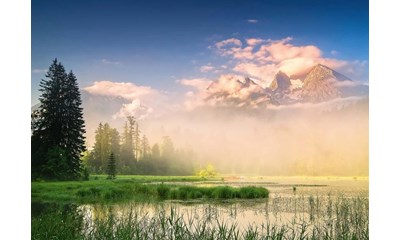 Taubensee