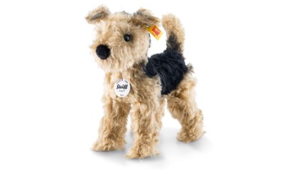 Terri Welsh-Terrier, goldbraun/schwarz 26cm**