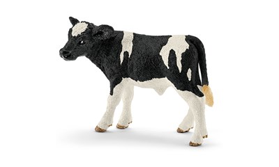 Holstein-Kalb