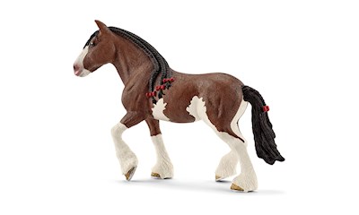 Clydesdale Stute