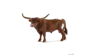 Texas Longhorn Bulle