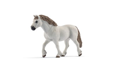 Welsh-Pony Stute