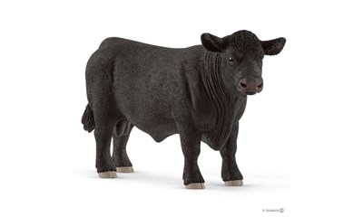 Black Angus Bulle