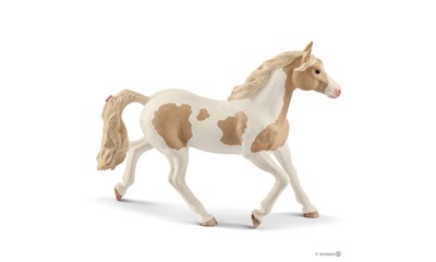 Paint Horse Stute