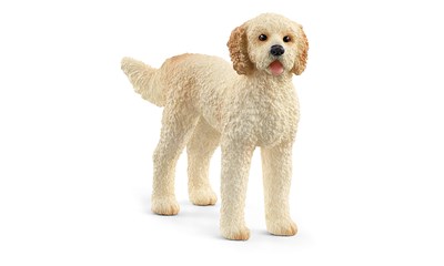 Goldendoodle Hund