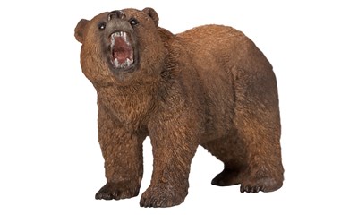 Grizzlybär