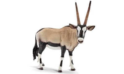 Oryxantilope