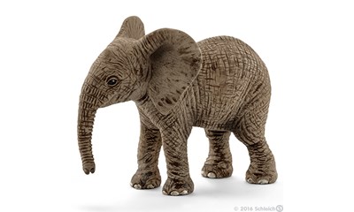 Afrikanischer Elefantenbaby