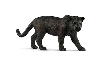 Schwarzer Panther