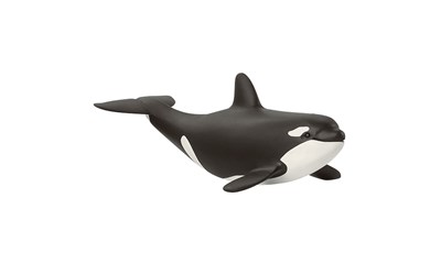 Orka Junges