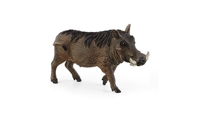 Warzenschwein