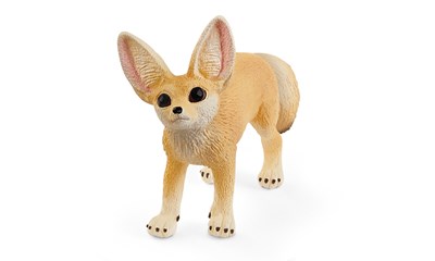 Wüstenfuchs