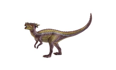 Dracorex