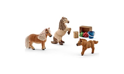 Set Mini Shetty Familie Exklusiv Set