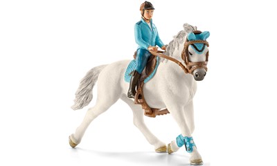 Turnierreiterin mit Pferd