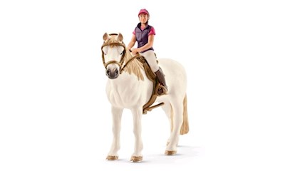 Freizeitreiterin mit Pferd