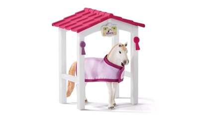 Pferdebox mit Lusitano Stute