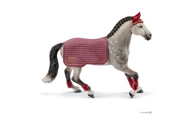 Trakehner Stute Reitturnier Decke abnehmbar