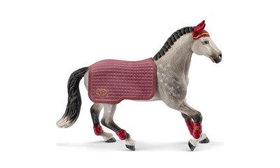 Trakehner Stute Reitturnier Decke abnehmbar