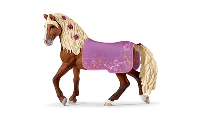 Paso Fino Hengst Pferdeshow Decke abnehmbar
