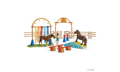 Pony Agility Training