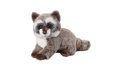 Waschbär stehend 35cm