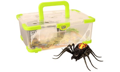 B/O Wild Pet Spinne mit Haus