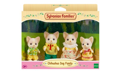 Chihuahua Dog Family