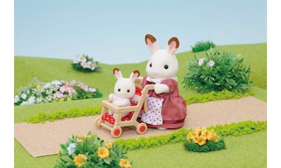 Push Chair