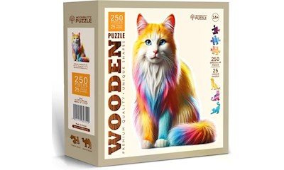 Regenbogenkatze