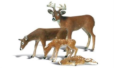 G Buck And Family