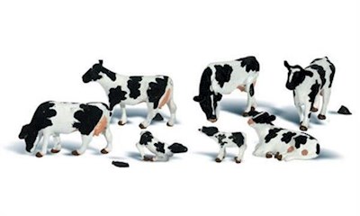 O Holstein Cows