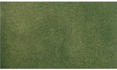 50x100 Green Grass RG Roll