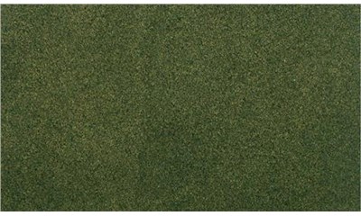 25 X 33 Forest Grass RG Roll