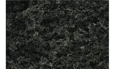 Nadelbäume 42 St. 5-10 cm