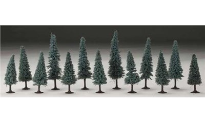 4-6'' Rm Real Blue Spruce 13/Pk