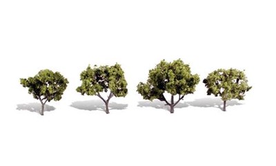 2''-3'' Early Light 4/Pk