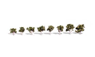 3/4''-1 1/4'' Waters Edge 8/Pk