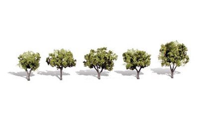 1 1/4''-2''  Early Light 5/Pk